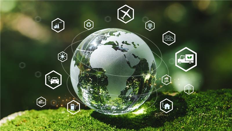 Wood Point international sourcing